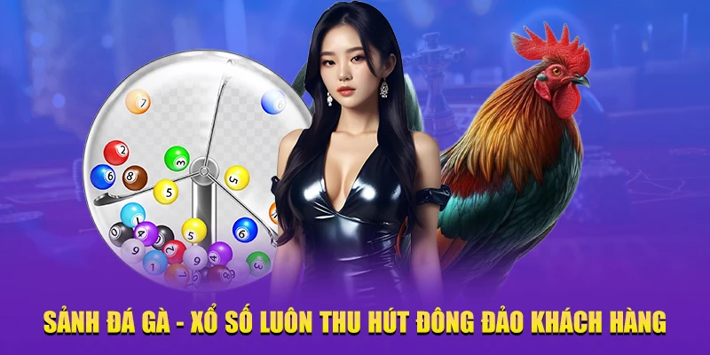 Đá Gà K9WIN - Tổng Quan, Luật Chơi Và Lý Do Nên Tham Gia